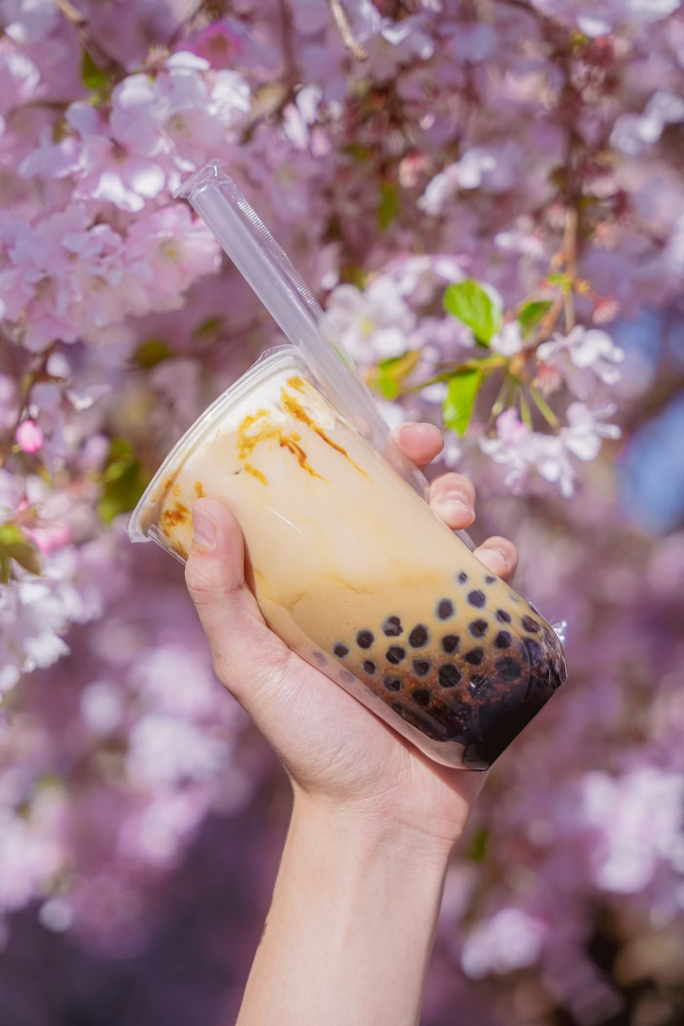 Tiger milk tea under the blossom